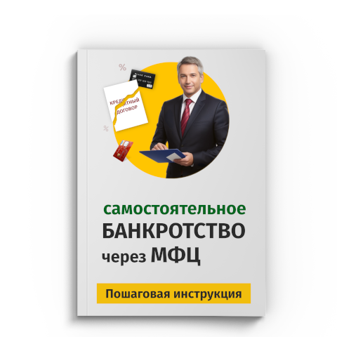 Пошаговая процедура банкротства через МФЦ в Саранске